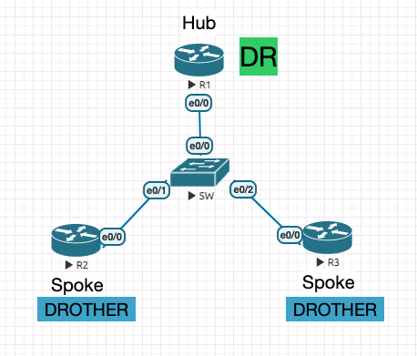 network_type_nbma.png