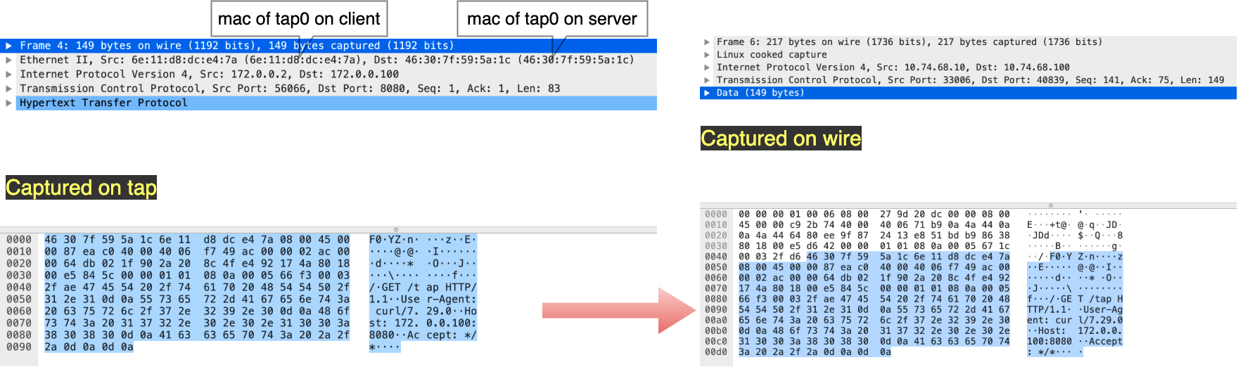 tap-tcpdump.png